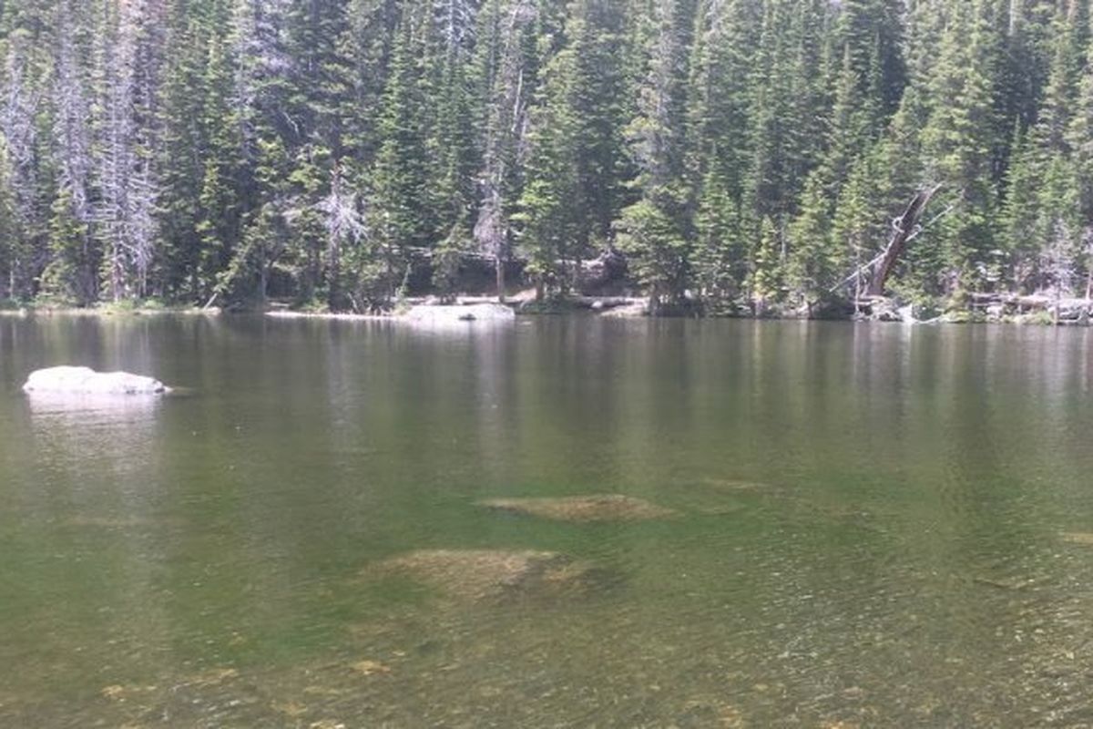 Danau di Colorado, AS, yang menjadi hijau karena masifnya pertumbuhan alga.