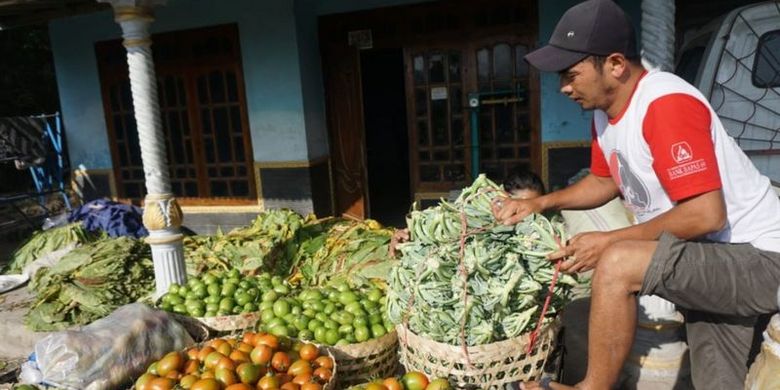 Petani paling terdampak karena berperan sebagai konsumen sekaligus produsen, kata peneliti LIPI