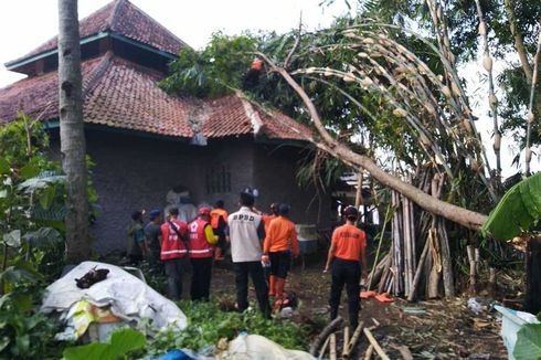 Rumah, Kendaraan hingga Masjid di Sukabumi Tertimpa Pohon Tumbang