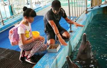 Beda Sea World Ancol dan Ocean Dream Samudra, Jangan Salah Pilih