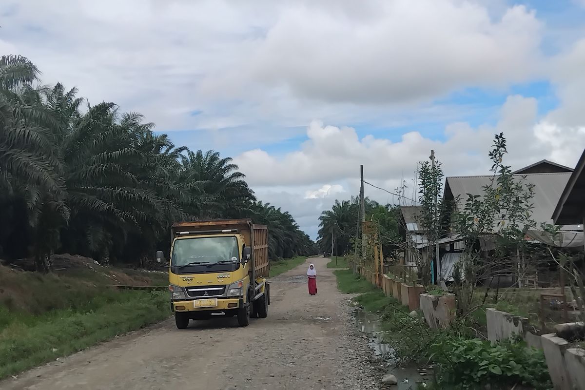 Petani Sawit di Pesisir Selatan Sumbar Berpotensi Rugi Rp 492 Miliar per Tahun, Potongan Jadi Biang Kerok
