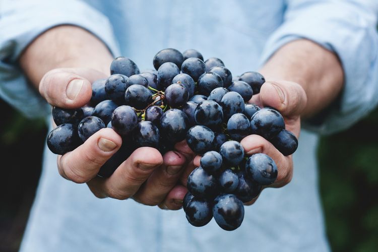 Anggur dan Blueberry Disebut Baik untuk Jantung, Ini Penjelasan Studi 