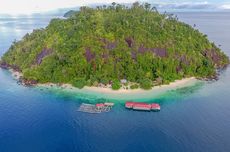 Pulau Sironjong Kecil di Pesisir Selatan Sumbar, Surga Lompat Tebing