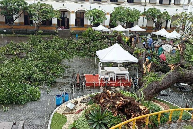 Akibat Hujan dan Angin Kencang, Pohon Berusia 100 Tahun di Lawang Sewu Semarang Tumbang Menimpa Dua Petugas. Sabtu (31/12/2022)