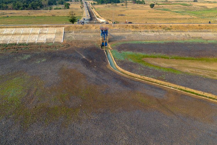Inflasi Pangan, El Nino, dan Daya Tahan Perekonomian
