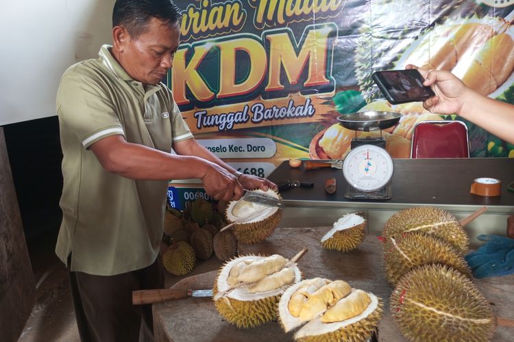 Kisah Lurah di Pekalongan yang Puluhan Tahun Setia Lestarikan Durian Lokal