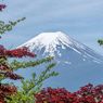 Syarat ke Jepang per Januari 2023, Wajib Vaksin Dosis Ketiga