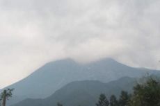 Dentuman Kembali Terdengar dari Puncak Gunung Merapi