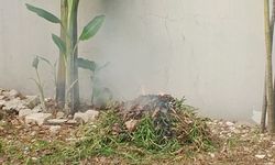 Cara Lapor Tetangga yang Hobi Bakar Sampah Sembarangan