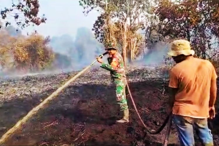 Prajurit TNI berupaya memadamkan api karhutla di Desa Pauh, Kecamatan Bonai Darussalam, Kabupaten Rokan Hulu (Rohul), Riau, Senin (7/8/2023).