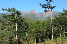 Gunung Piramid dalam Ingatan Mereka yang Pernah Mendakinya...