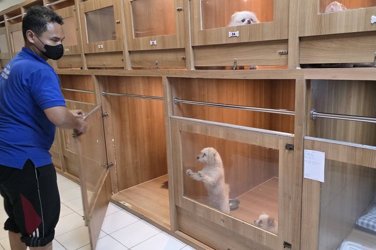 Kamar Pet Central Semarang Penuh Saat Libur Nyepi dan Lebaran, Didominasi Titipan Anjing