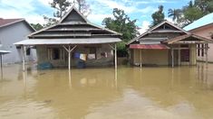 Sungai Poringan Meluap, Ratusan Rumah dan Lahan Pertanian di Luwu Terendam Banjir