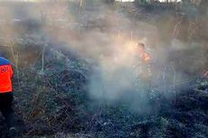 Lahan Pinggir Jalan Terbakar di Rokan Hulu Riau, Petugas Padamkan Api Pakai Kayu