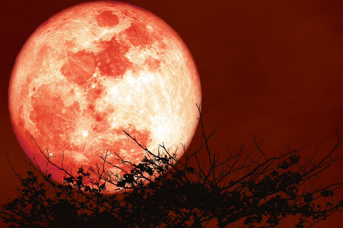 Gerhana Bulan Total 3 Maret 2026 Bisa Dilihat di Indonesia, Ini Jadwal dan  Lokasinya