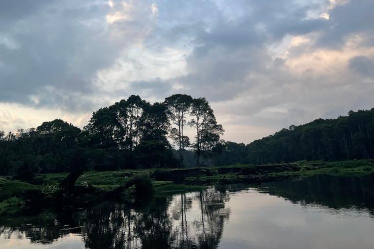 Objek wisata Rawa Bento di Taman Nasional Kerinci Seblat. 