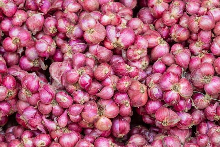 Harga bawang putih 1 kg hari ini 2021