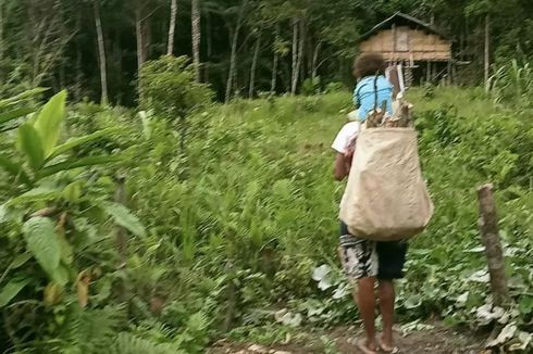 Pengungsi Papua: Kita Mau Tinggal di Sini Sampai Kapan, Mama?
