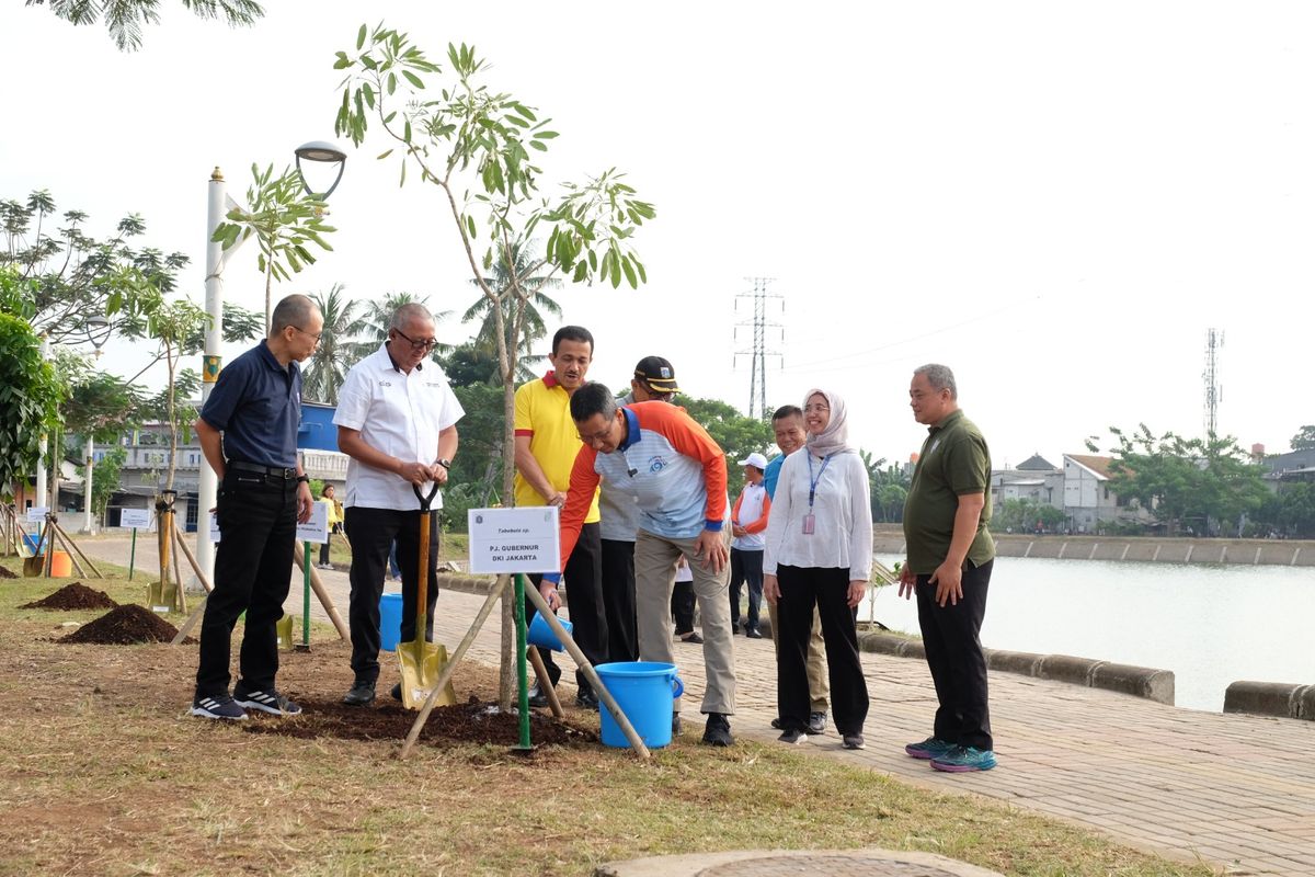 Salah satu tindak lanjut kerja sama antara Pemprov DKI Jakarta dengan PT Solusi Bangun Indonesia Tbk (SBI) adalah dengan, melakukan penanaman pohon di kawasan Waduk Kampung Rambutan 2, Jumat (21/7/2023). Direktur Utama SBI Lilik Unggul Raharjo secara simbolis menanam pohon berjenis tabebuya dan pucuk merah bersama dengan Pj. Gubernur DKI Jakarta Heru Budi Hartono.
