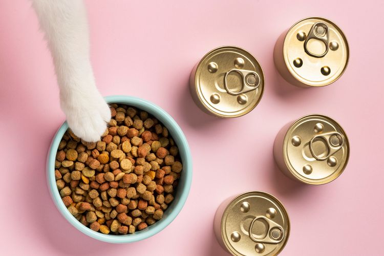 Kenapa kucing tidak suka makanan kering bisa jadi karena beberapa hal.

Ada kalanya kucing tidak suka makanan kering. Sama seperti manusia, beberapa kucing juga punya kecenderungan suka pilih-pilih makanan.