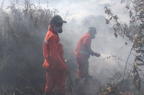 Karhutla Kembali Membara di Siak, Tim Manggala Agni Berjibaku Padamkan Api