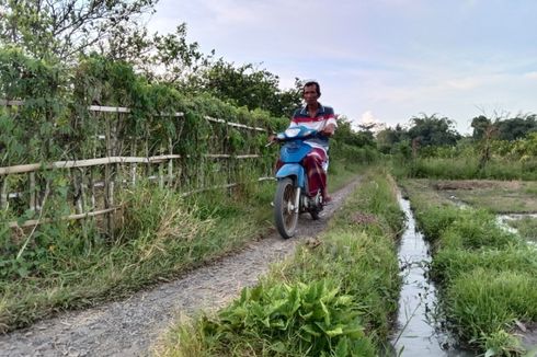 Kemarau Panjang, Pemkab Banyuwangi Minta Petani Hemat Air dan Lapor jika Kekurangan