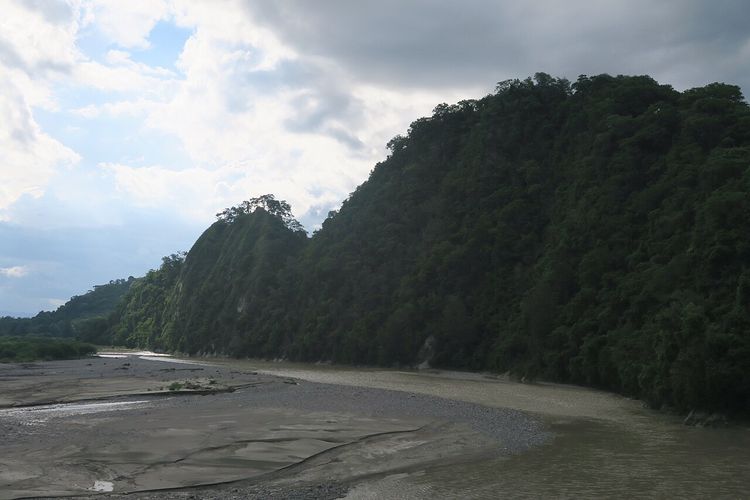 Ilustrasi Sungai Noel Mina di Nusa Tenggara Timur (NTT). Konsep daun bertujuan membuat masyarakat NTT paham apa itu daerah aliran sungai (DAS). 