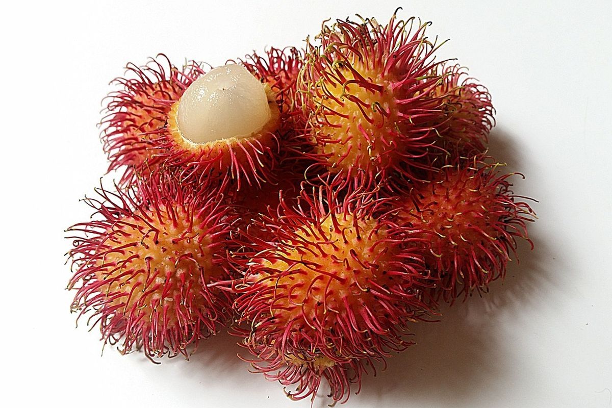 Ilustrasi apakah rambutan baik untuk kesehatan?