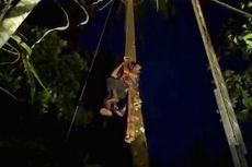Seorang Pria Dievakuasi Setelah Terjebak 3 Jam di Atas Pohon Kelapa