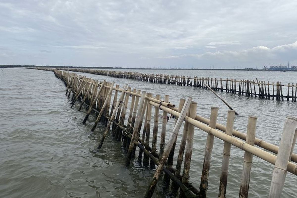 Pagar Laut Bekasi Belum Tuntas Dibongkar, Nelayan Terkendala Cari Ikan
