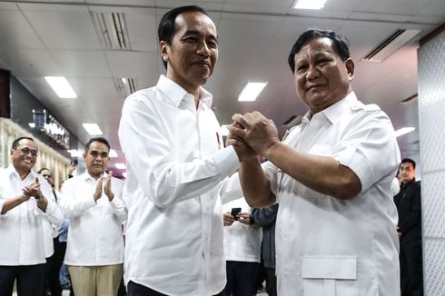 Wakil Ketua TKN Pastikan Pertemuan Jokowi-Prabowo Tak Bahas Koalisi