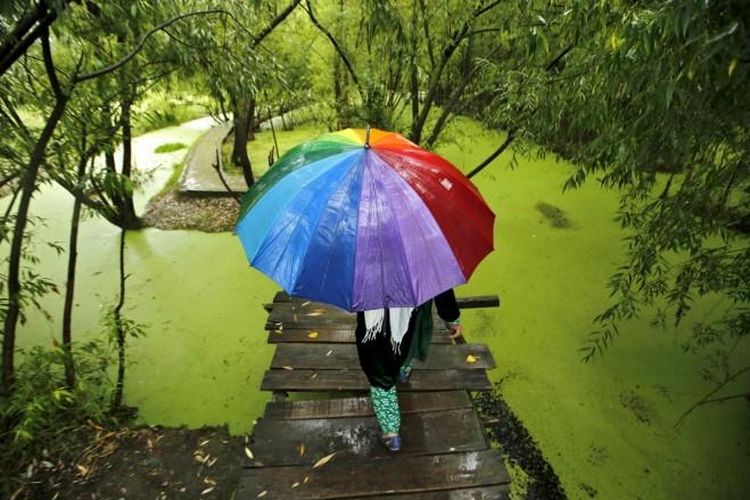 Ilustrasi wisatawan bawa payung saat musim hujan,