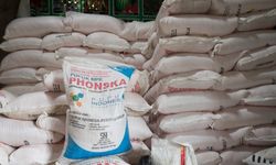 Kementan Bantah Kelangkaan dan Pengurangan Pupuk Bersubsidi