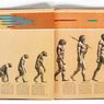 Evolusi: Arti dan Perkembangannya
