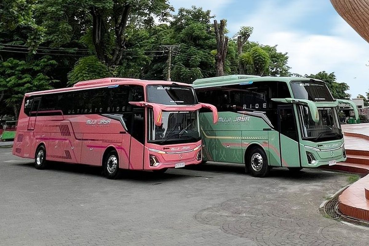 Bus baru PO Muji Jaya