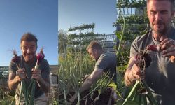 Hobi Berkebun seperti David Beckham, Ini 6 Manfaatnya untuk Kesehatan Mental