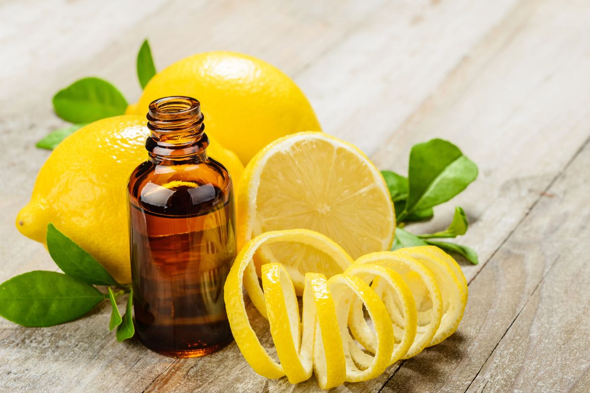 Ilustrasi minyak lemon