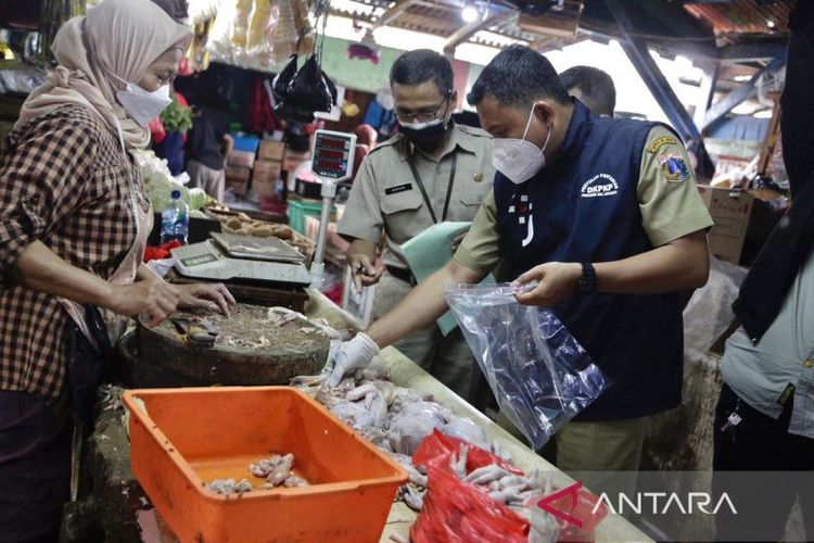 Suku Dinas Ketahanan Pangan Kelautan dan Pertanian (Sudin KPKP) Jakarta Pusat sebut pihaknya banyak menemukan ikan asin mengandung formalin dan daging busuk di sejumlah pasar tradisional di kawasan Jakarta Pusat, Selasa (27/9/2022).