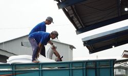 Bulog Jatim Catat Serapan Beras Tertinggi Nasional, Tembus 500.000 Ton