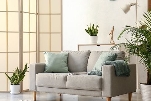 Cara Membersihkan Bantalan Sofa dengan Benar