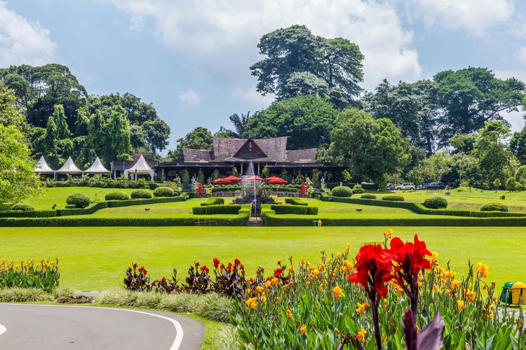 Kebun Raya Bogor.