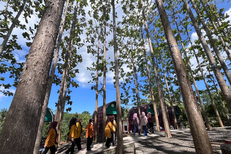 Djaplak, Teduhnya Wisata Hutan Jati di Jalur Pangandaran 
