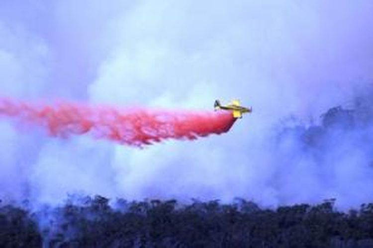 Foto yang diambil pada 17 Januari 2014 ini menampilkan sebuah pesawat milik Dinas Pemadam Kebakaran Victoria menjatuhkan material pemadam api untuk mengatasi kebakaran di kawasan Grampians, Victoria.
