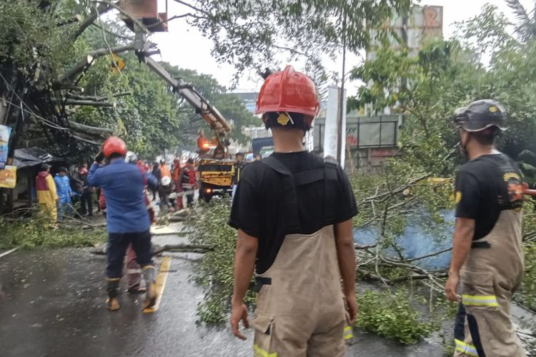 Berita Terkini Harian Pohon Tumbang Di Depok Terbaru Hari Ini - Kompas.com