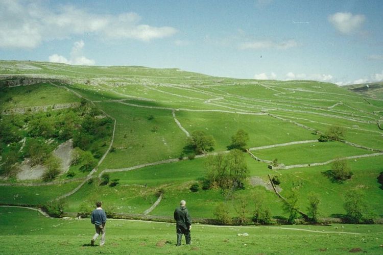 Lautan kosong terlihat di lembah di Yorkshire setelah pembantaian massal ternak. 