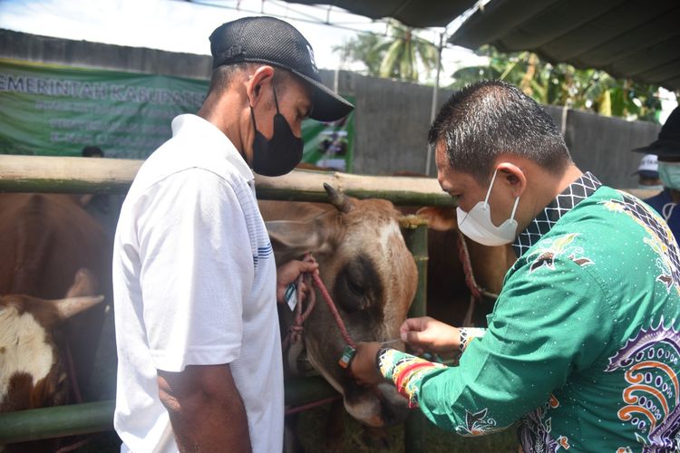 Bupati Lumajang saat membagikan kartu E-Nak kepada peternak sapi di Desa Selokgondang, Kecamatan Sukodono, Kabupaten Lumajang, Selasa (12/4/2022)