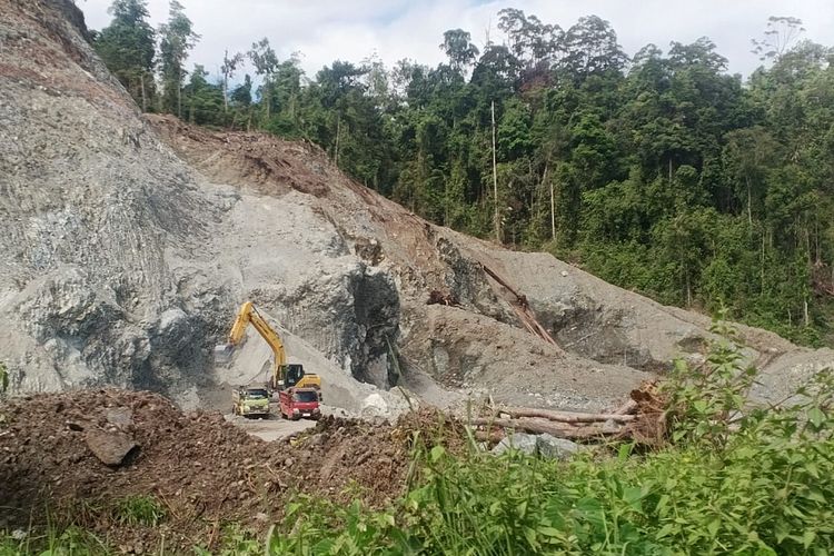 APNI: Penerapan ESG Industri Nikel Harus Dimulai dari Tambang