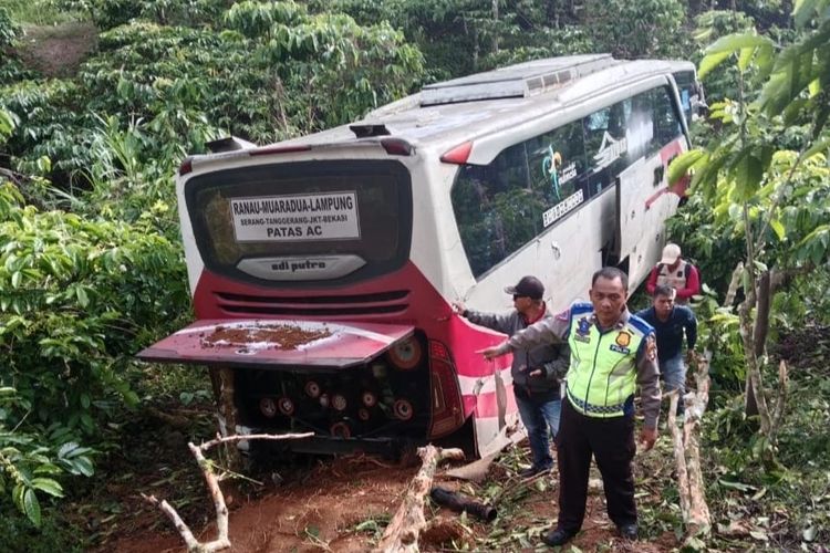Bus AKAP yang masuk jurang di Kabupaten Lampung Barat, Senin (13/5/2024).