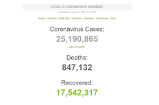 25 Juta Orang Terinfeksi Covid-19 di Dunia, Ini 10 Negara dengan Kasus Terbanyak