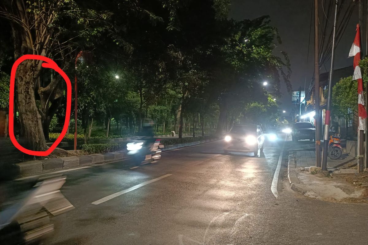 Lokasi pengendara motor menabrak lansia dan anaknya dalam keadaan mengebut di Jalan Kolonel Sugiono, Duren Sawit, Jakarta Timur, Minggu (20/8/2023) malam. Usai menabrak para korban, pelaku terpental ke pohon yang dilingkar merah.